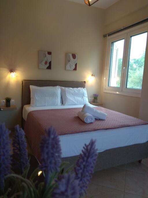Elena Roza Apartment Месонги Экстерьер фото